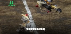 Philippine Sabong – Drawing in Crowds of Enthusiastic Players at JJ777