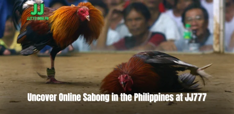 Uncover Online Sabong in the Philippines at JJ777