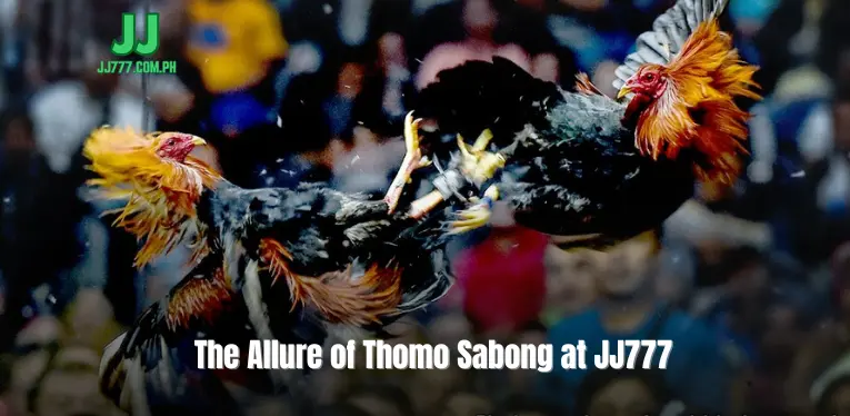 The Allure of Thomo Sabong at JJ777