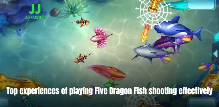 Top experiences of playing Five Dragon Fish shooting effectively