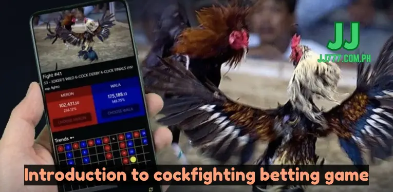 Introduction to cockfighting betting game