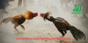 Attractive cockfighting betting guide