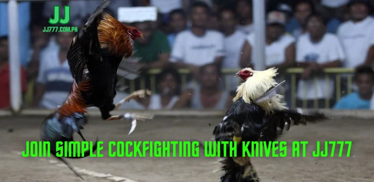 Join simple cockfighting with knives at JJ777