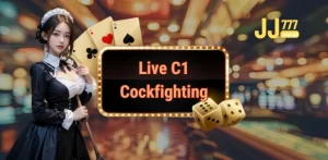 Live C1 Cockfighting