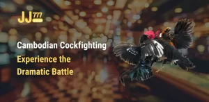 Cambodian Cockfighting – Experience the Dramatic Battle